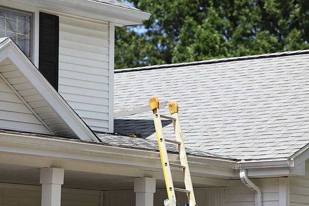 Affordable siding repair and maintenance services in Federal Way, WA